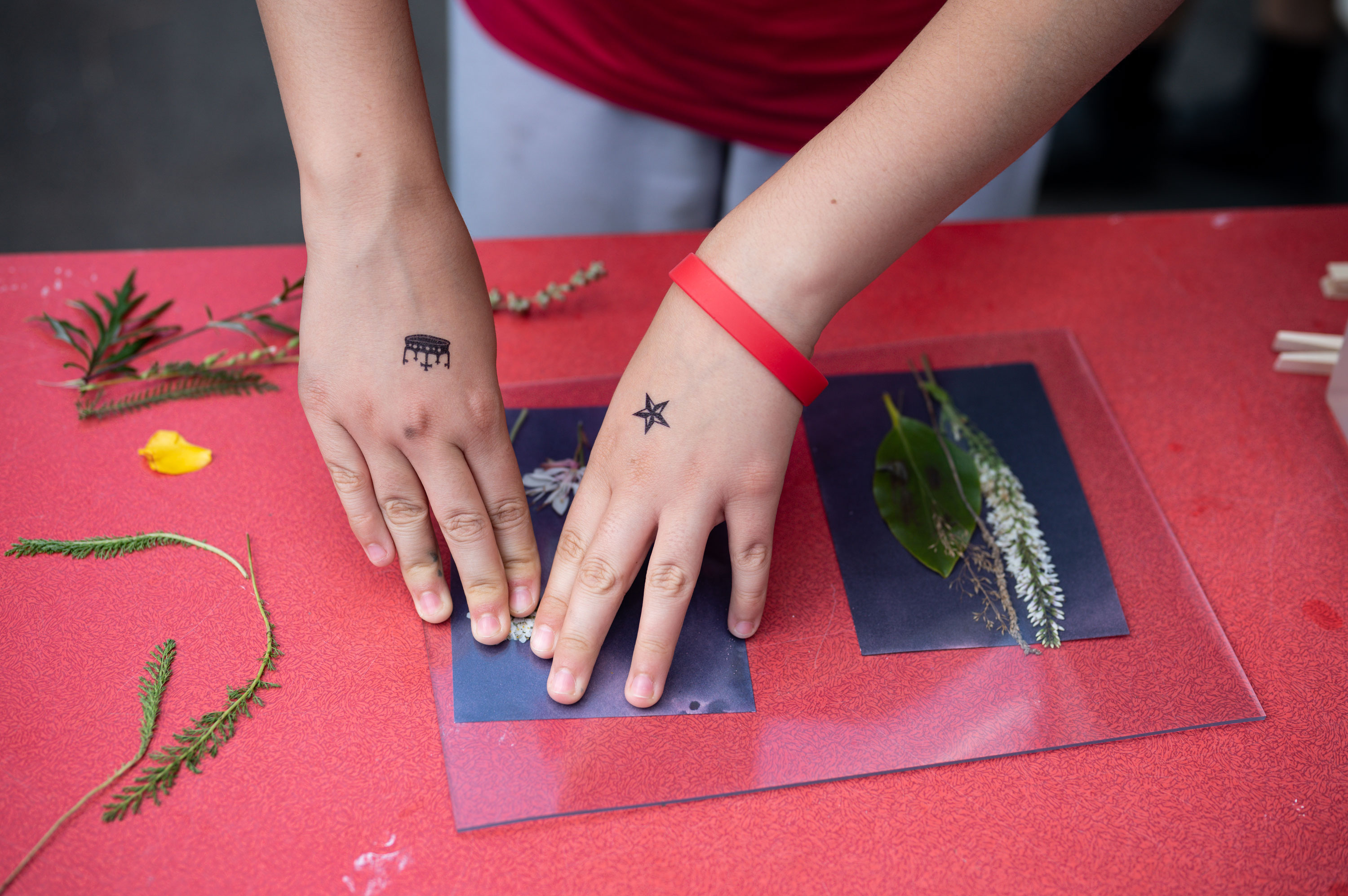 A close-up on a participants hands pressing leaves and grass into ink on a glass sheet