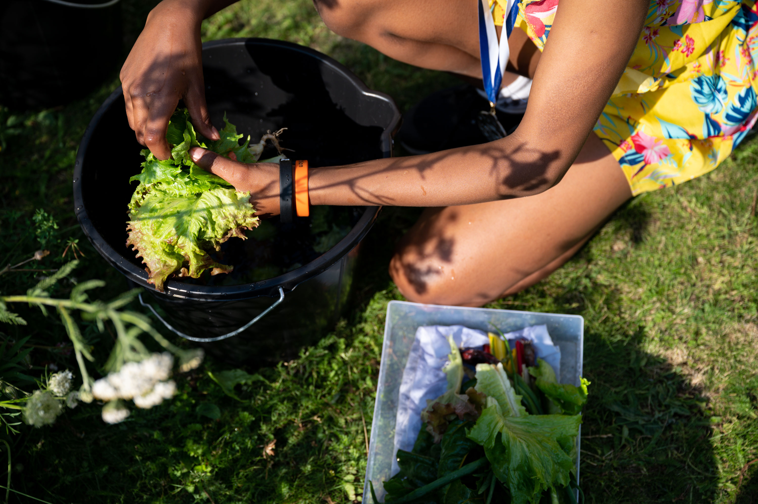 A close up of a person's hands washing and preparing green salad leaves