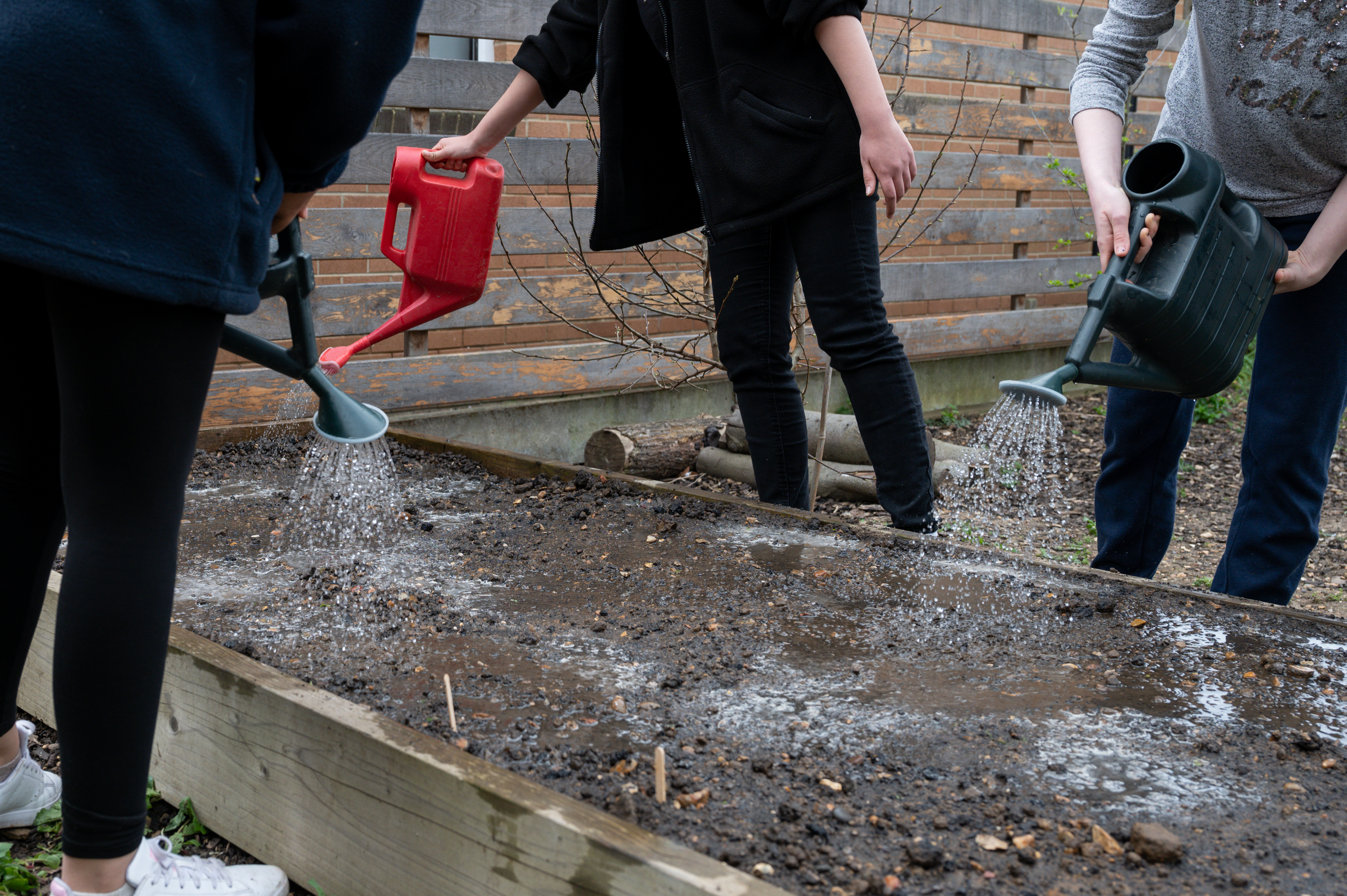 3 people water soil with watering cans